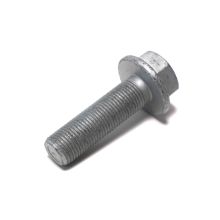 SAF Schraube mit Flansch 16x1.5x55