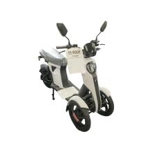 Scooterretelli Dreirad Weiß 45Km/H