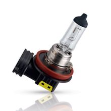 Glühlampe 24 V H11. 70 W PGJ19-2 Master Duty
