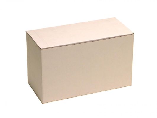 Diebstahlschutzbox 230 x 110 x 135 mm. neutral