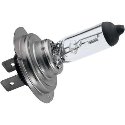 Novio Halogenlampe H7 Px26D 24V 70W