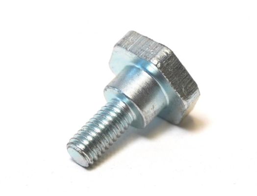 Neptunus Scharnierbolzen 6 X 12
