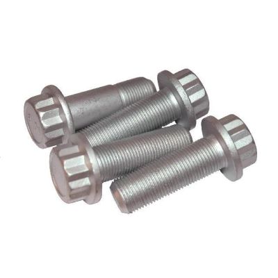 SAF Befestigungsschrauben für Bremssattel. SBS 2220
