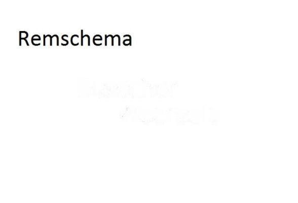 Bremsberechnung - Bremsschema  Schlegl / AL-KO  Auflaufeinrichtung + Radbremse