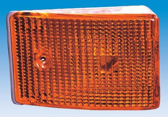 Blinkleuchte 24V Mit Träge/Trager + Kabel