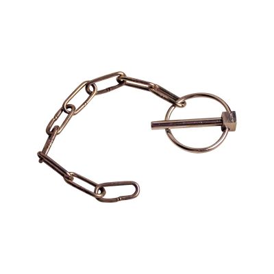 Novio Sicherungsbolzen mit rundem Clip Edelstahl Ø6mm