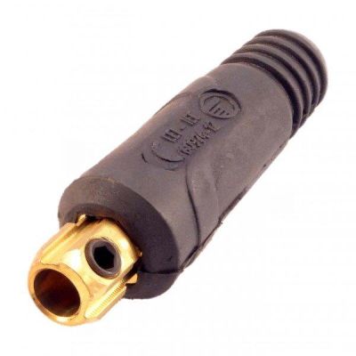 Stecker (männlich)